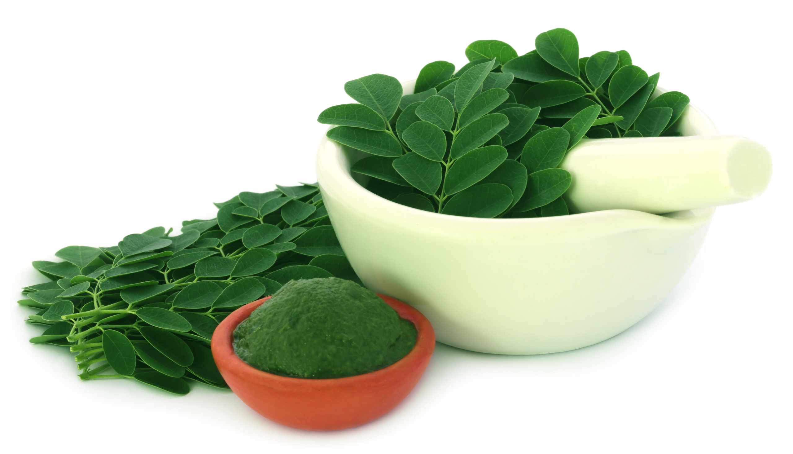 moringa-oil-in-skincare