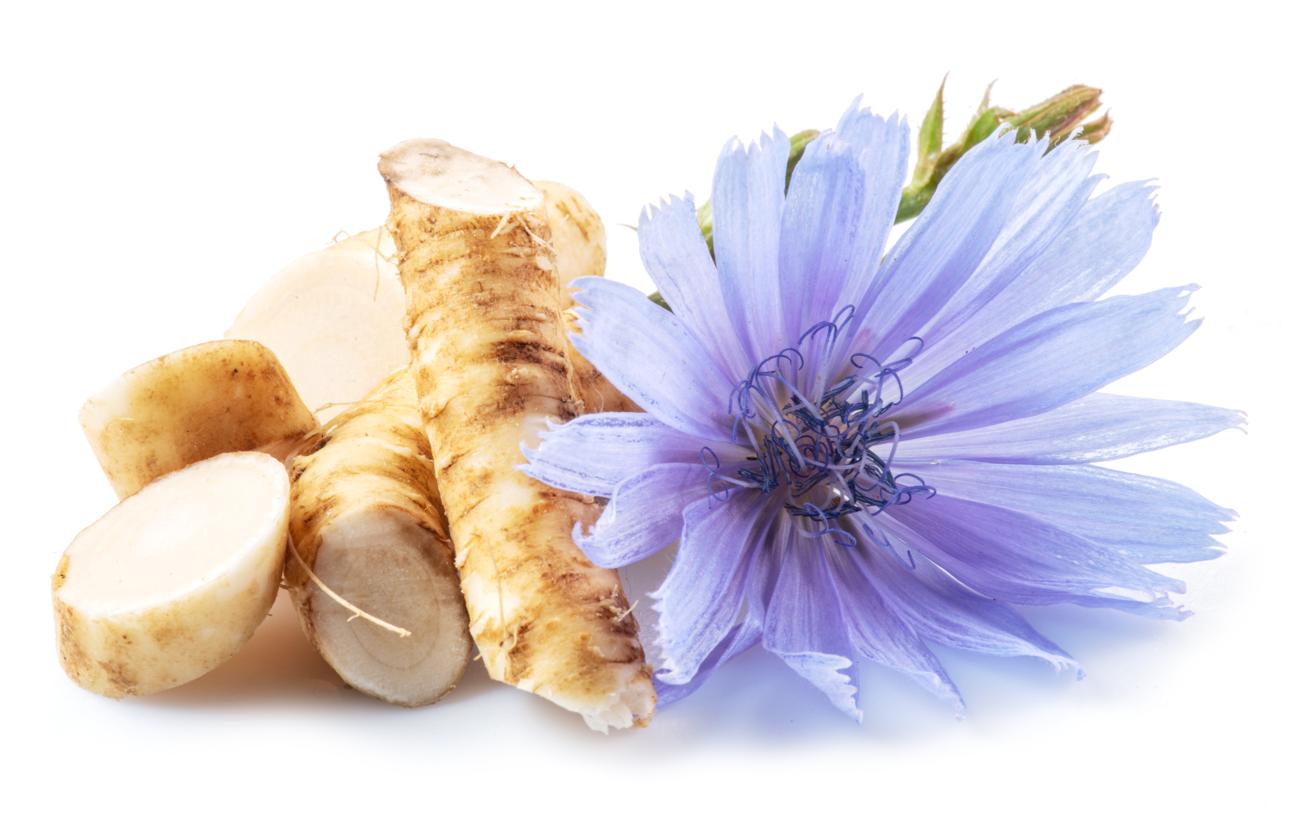 bakuchiol-skincare-retinol-like