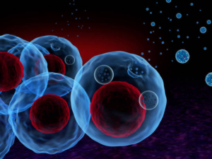 Common Misconceptions About Exosomes