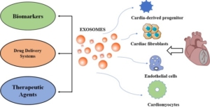 Definition of Exosomes