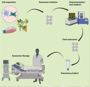 How to Incorporate Exosome Therapy in Practice