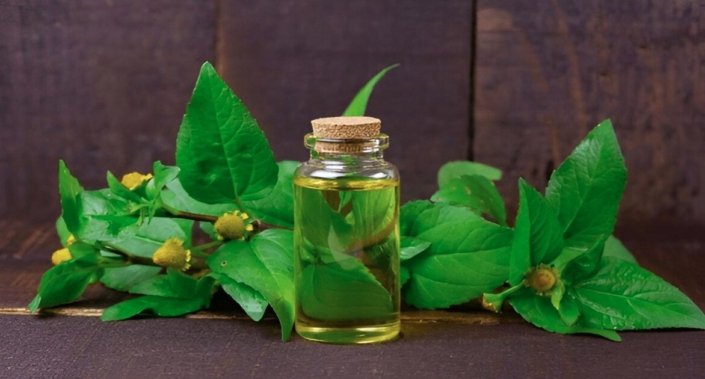 paracress oil for skin