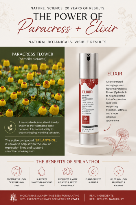 Paracress Flower for Wrinkles?